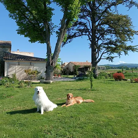 Bed & Breakfast La Boheme La Belle Etoile Petit Dejeuner Compris *